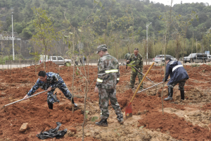 陽(yáng)春三月雨，正是植樹好時(shí)節(jié)