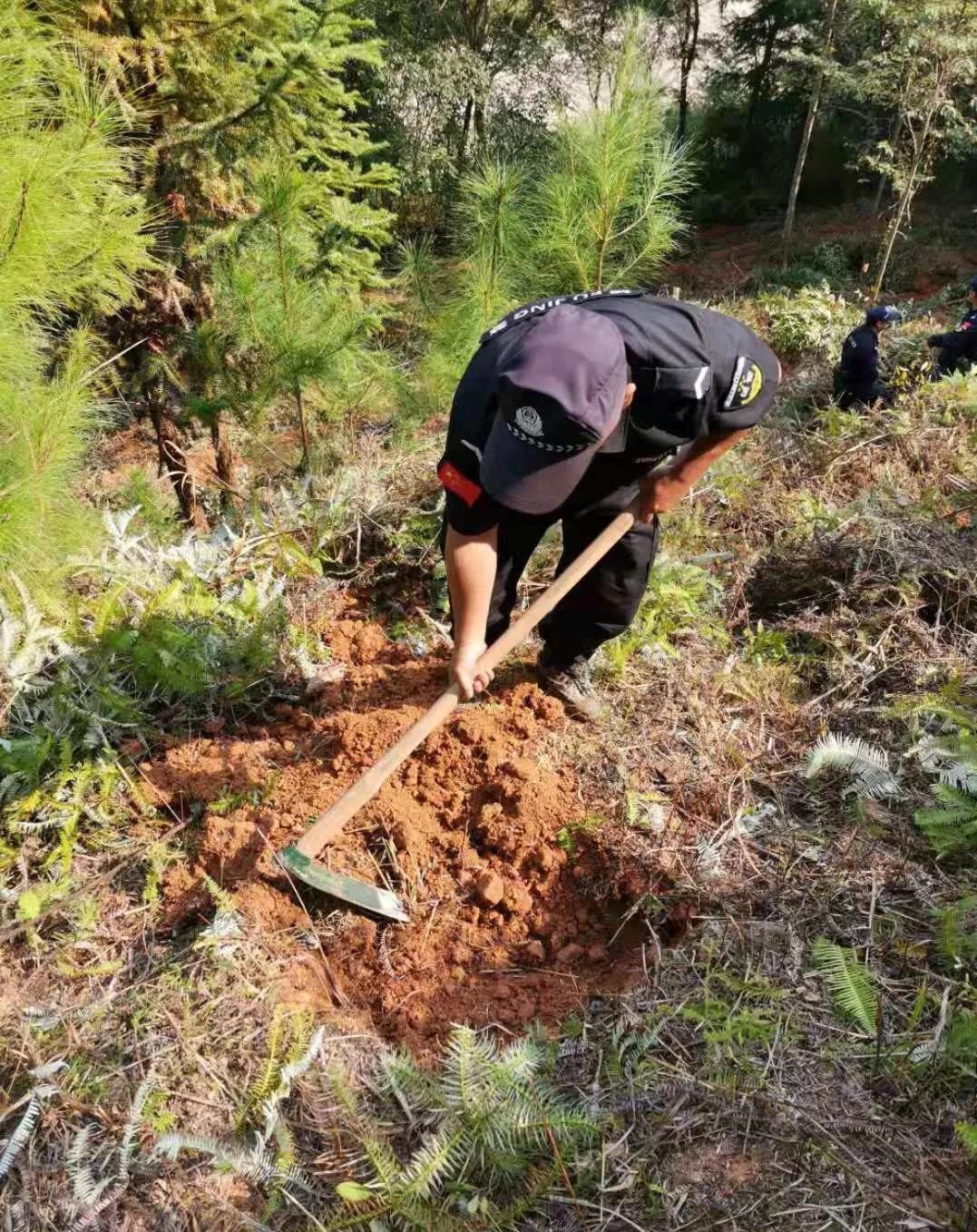 干好每一天|青山掛白我復(fù)綠，無私奉獻(xiàn)金森人——資源保護(hù)部義務(wù)突擊隊(duì)工作記實(shí)