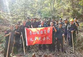 干好每一天|青山掛白我復(fù)綠，無私奉獻(xiàn)金森人——資源保護(hù)部義務(wù)突擊隊(duì)工作記實(shí)