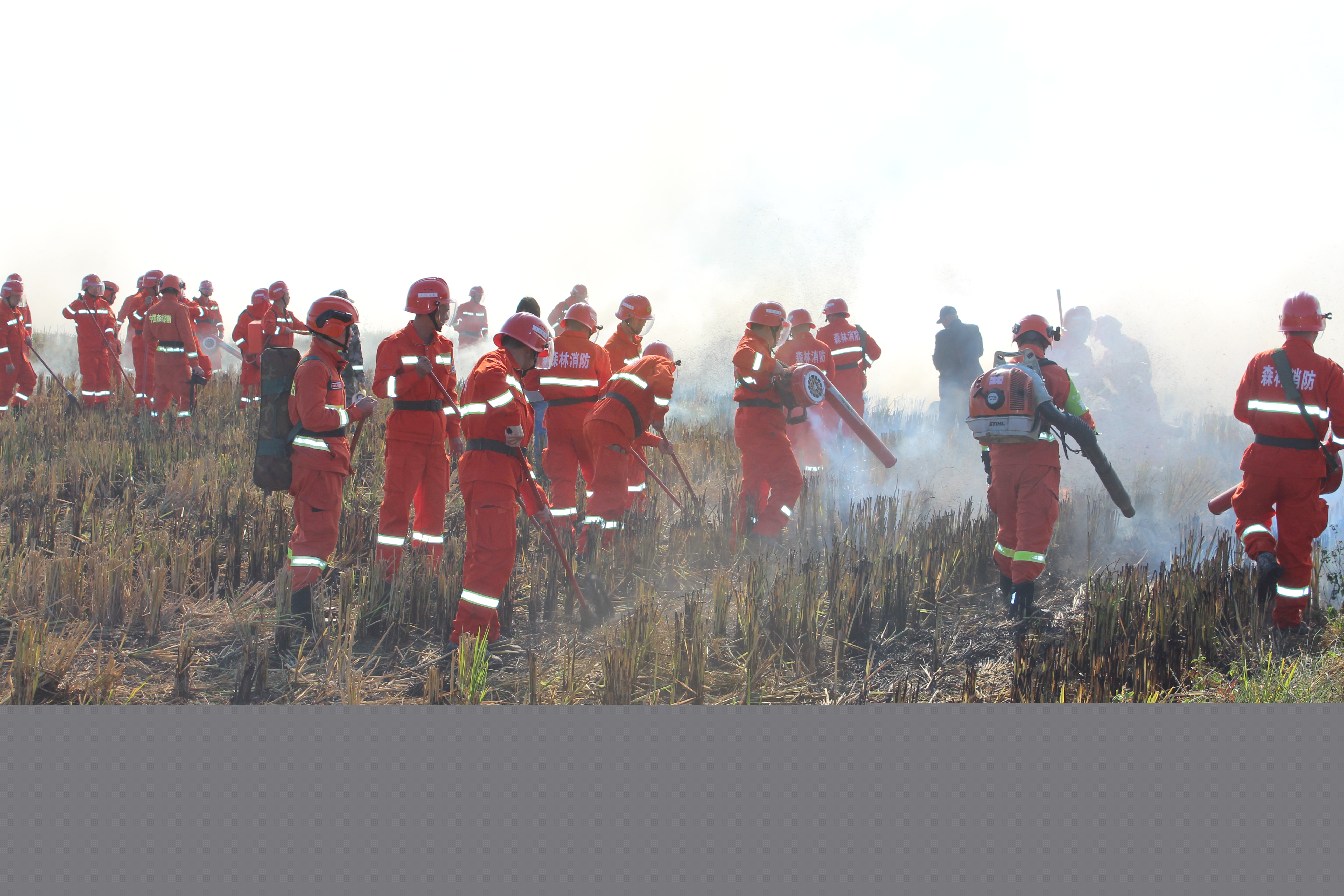 干好每一天|福建金森開展森林防火業(yè)務(wù)培訓(xùn)及防火演練