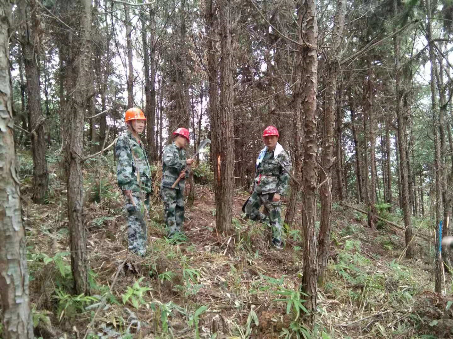 支部結(jié)對共建 促進黨建業(yè)務(wù)“雙提升”