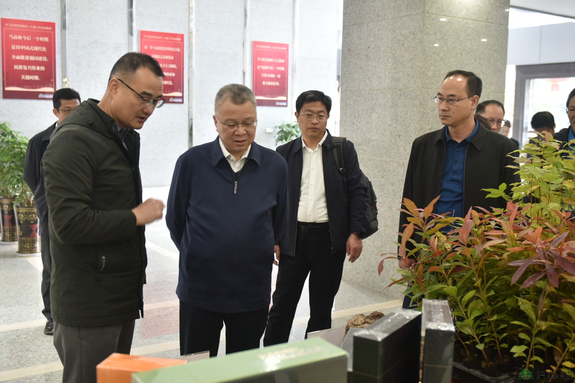 南京林業(yè)大學至福建金森調研